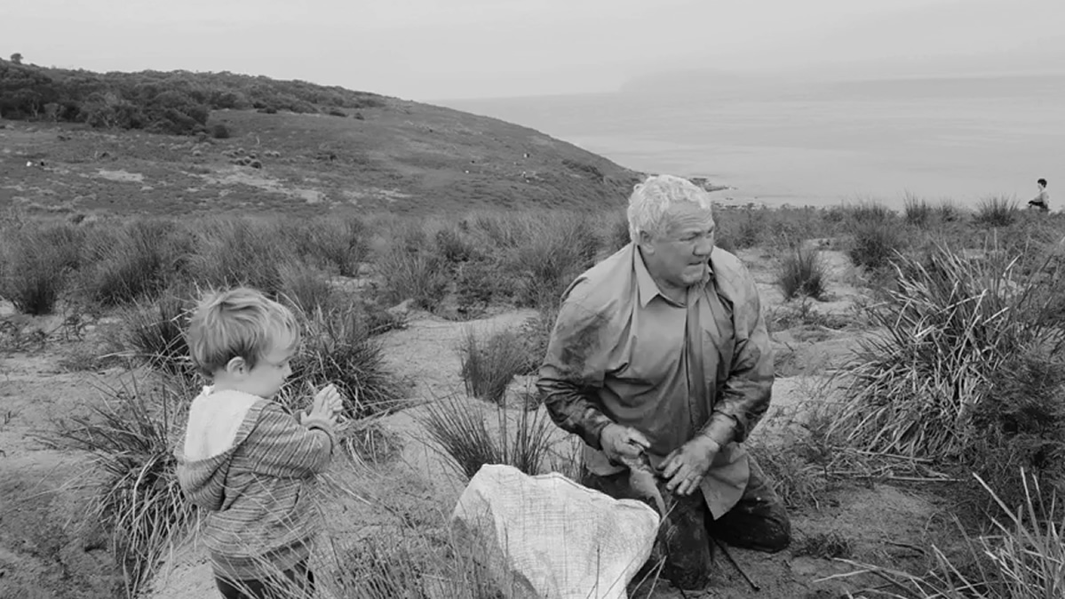 man and a child on a coastal cliff top gathering muttonbirds
