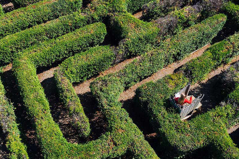 Psychology students running trials at Westbury Maze