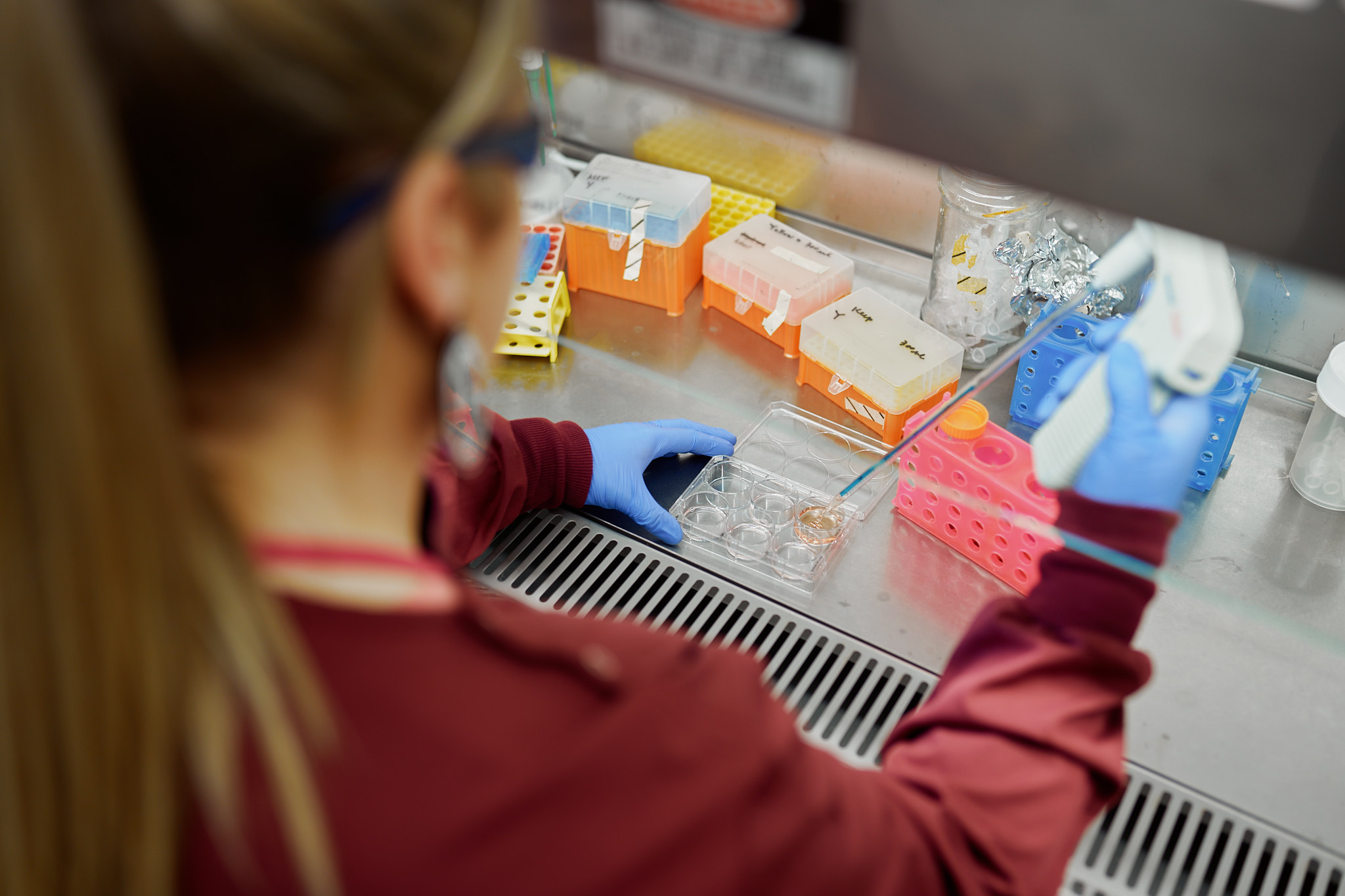 Biomedicine lab work