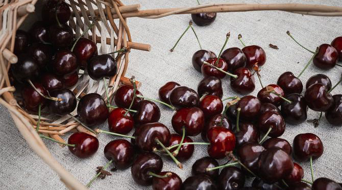 Cherries around a basket