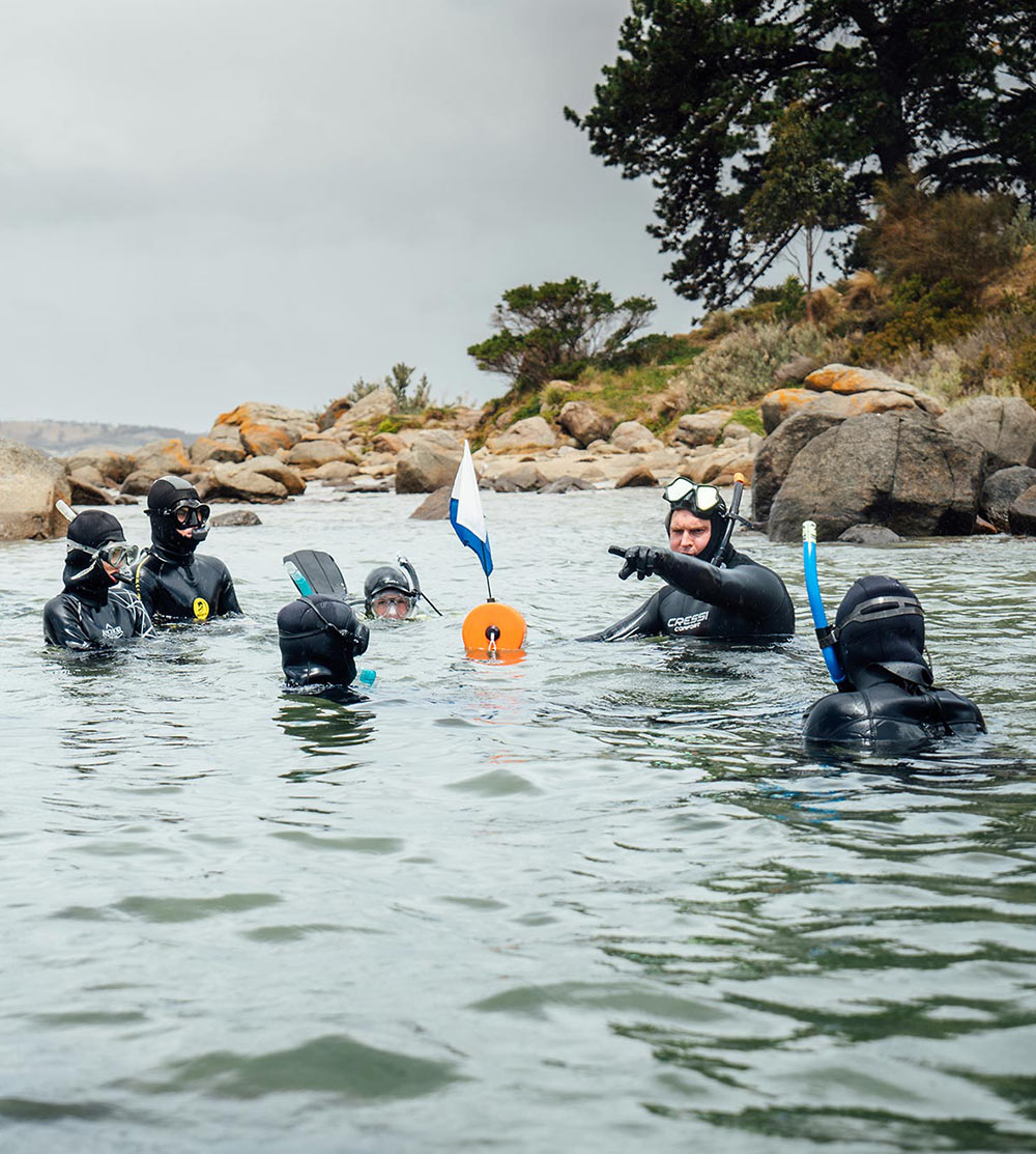 Education students diving class, Taroona High