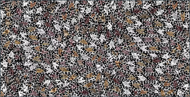 A densely patterned artwork fills the entire frame with flowing, interwoven bands that curve and weave across a black background. The surface is covered in repeated patterns translating the artists clan&rsquo;s sacred saltwater miny&rsquo;tji into luminous, swirling forms in white, ochre, brown, and deep reddish tones, outlined with fine white lines and dotted patterns. The overall effect is rhythmic and energetic, like currents of water or winds moving in many directions, creating a sense of continuous movement and connection across the image.