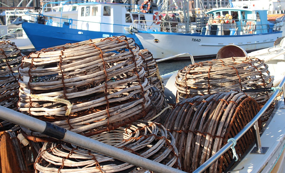 Fishing boats