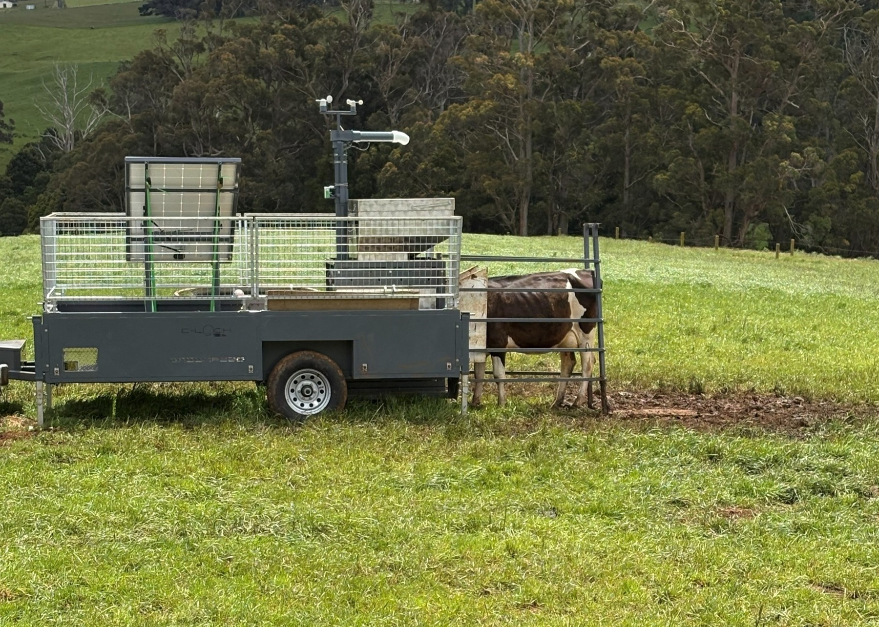 low emissions feed tech trial at TIA Dairy Research Facility