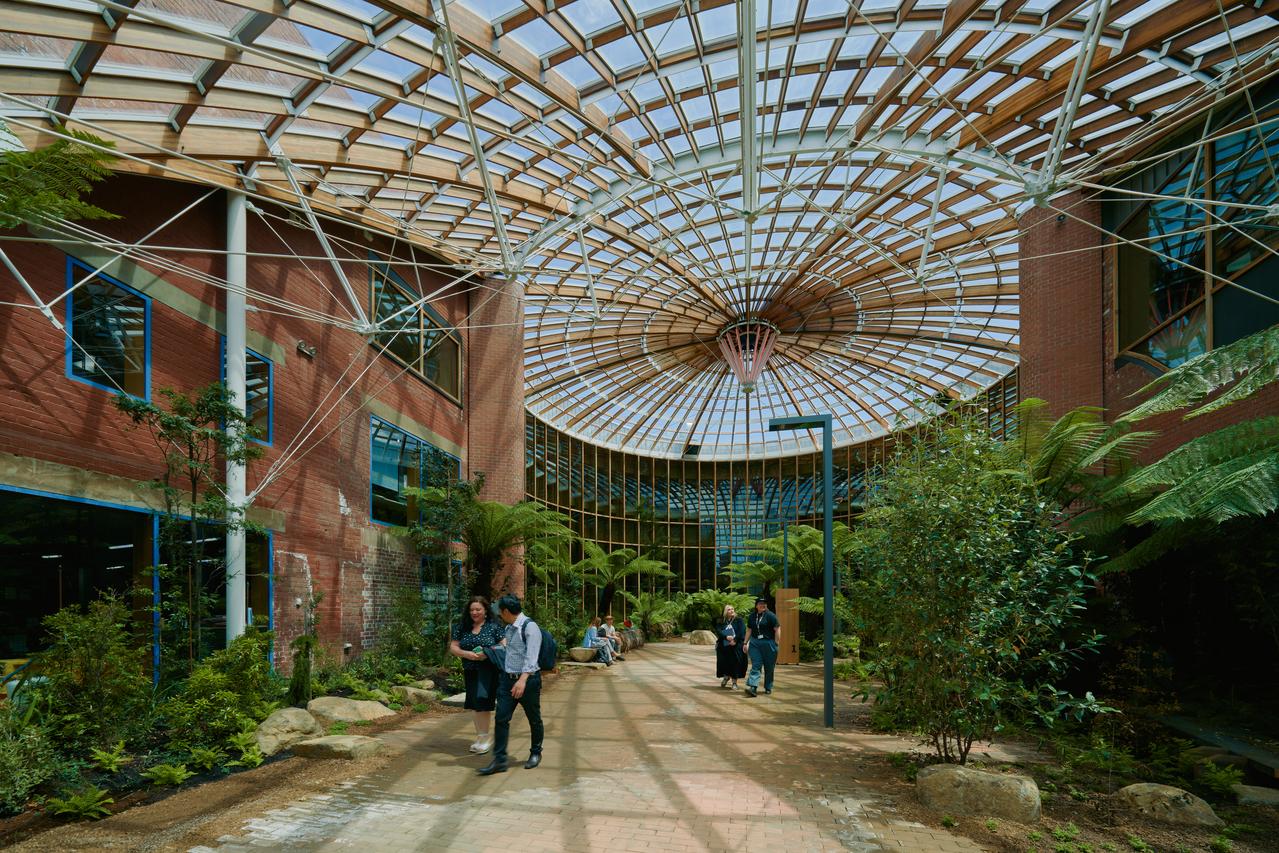 An image of the regenerated forest beneath the heritage dome of The Forest