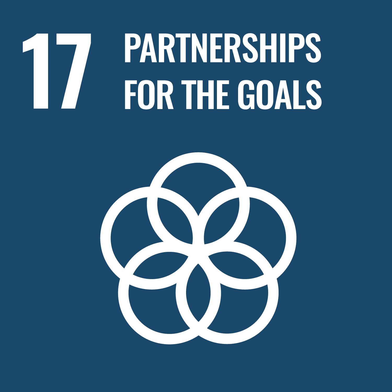 SDG17 Partnerships For The Goals