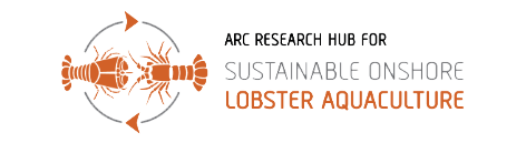Logo for ARC Research Hub for Sustainable Onshore Lobster Aquaculture