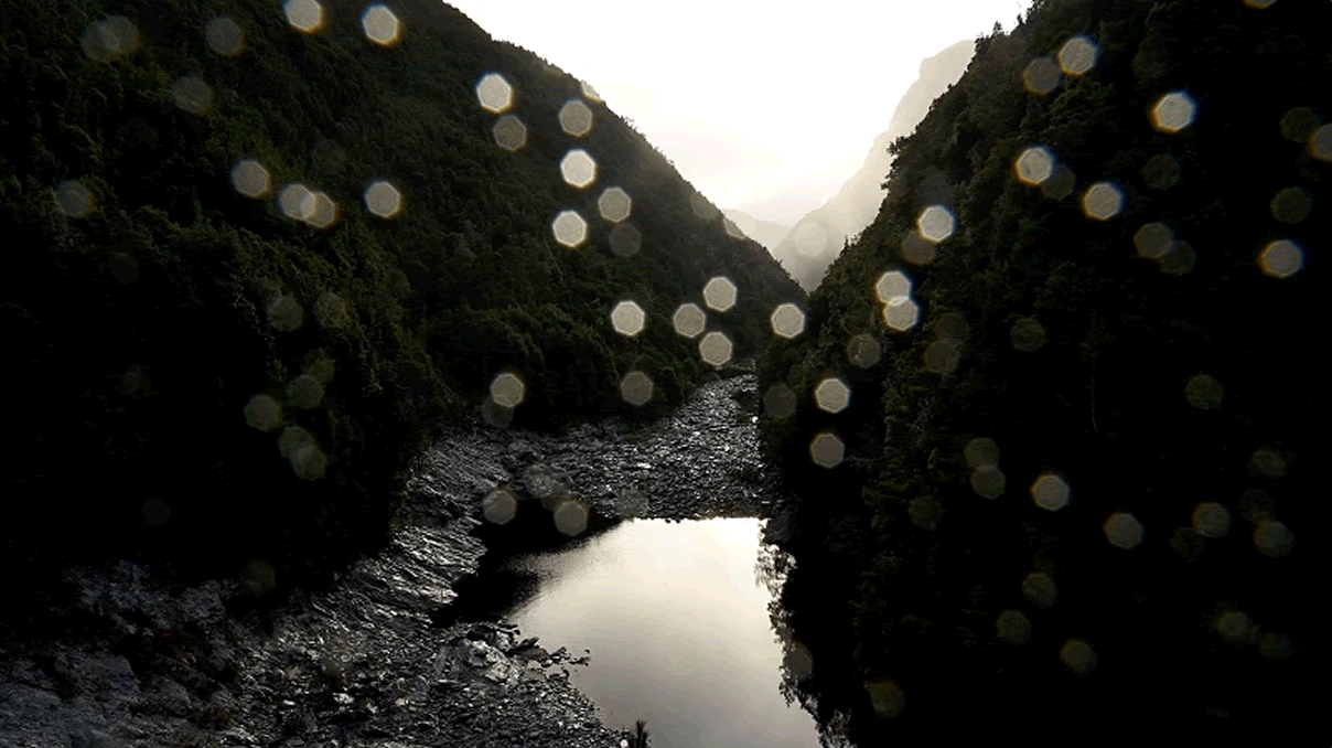 Ellen Dahl Art work the fake lake