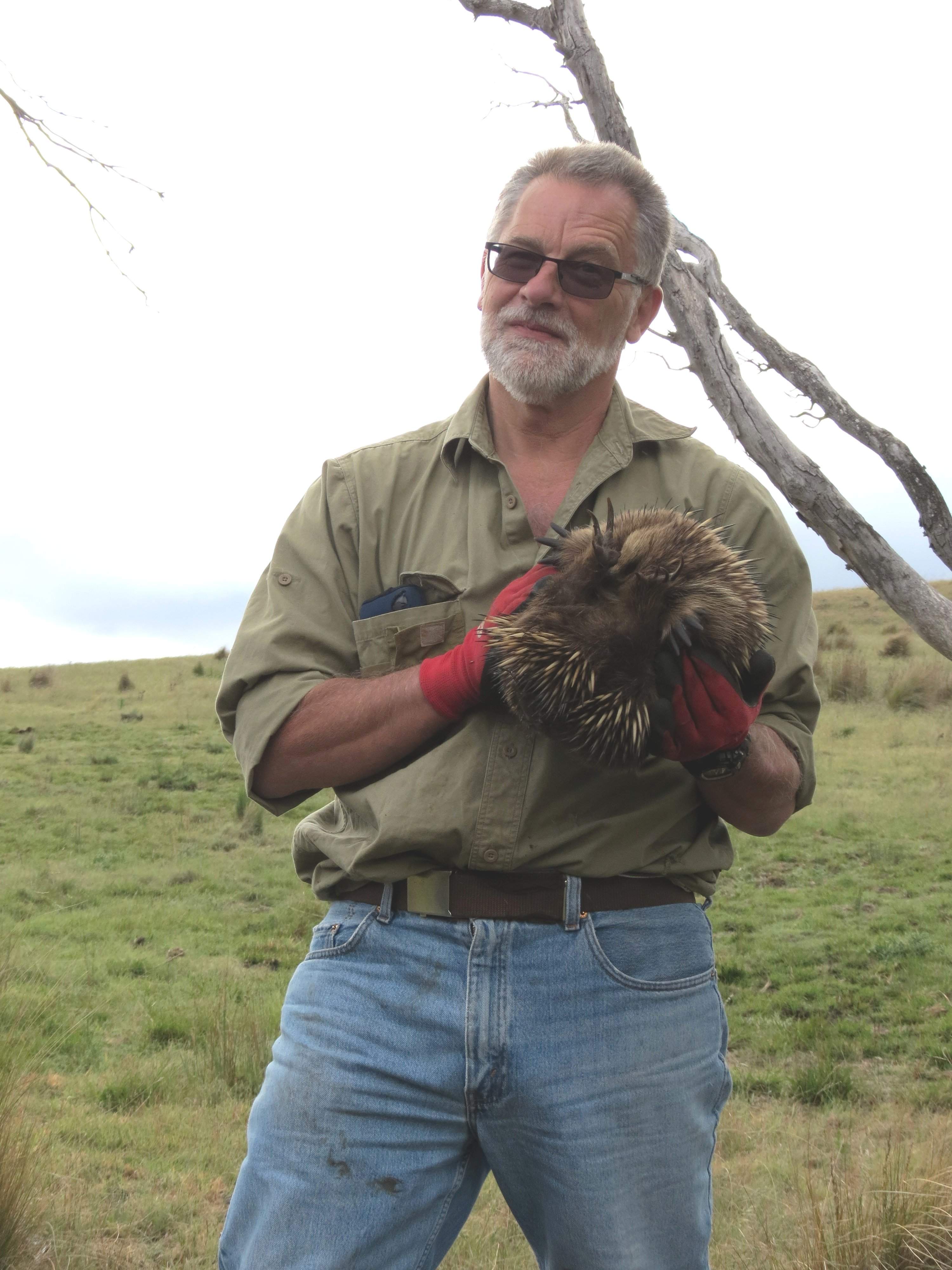 Associate Professor Stewart Nicol