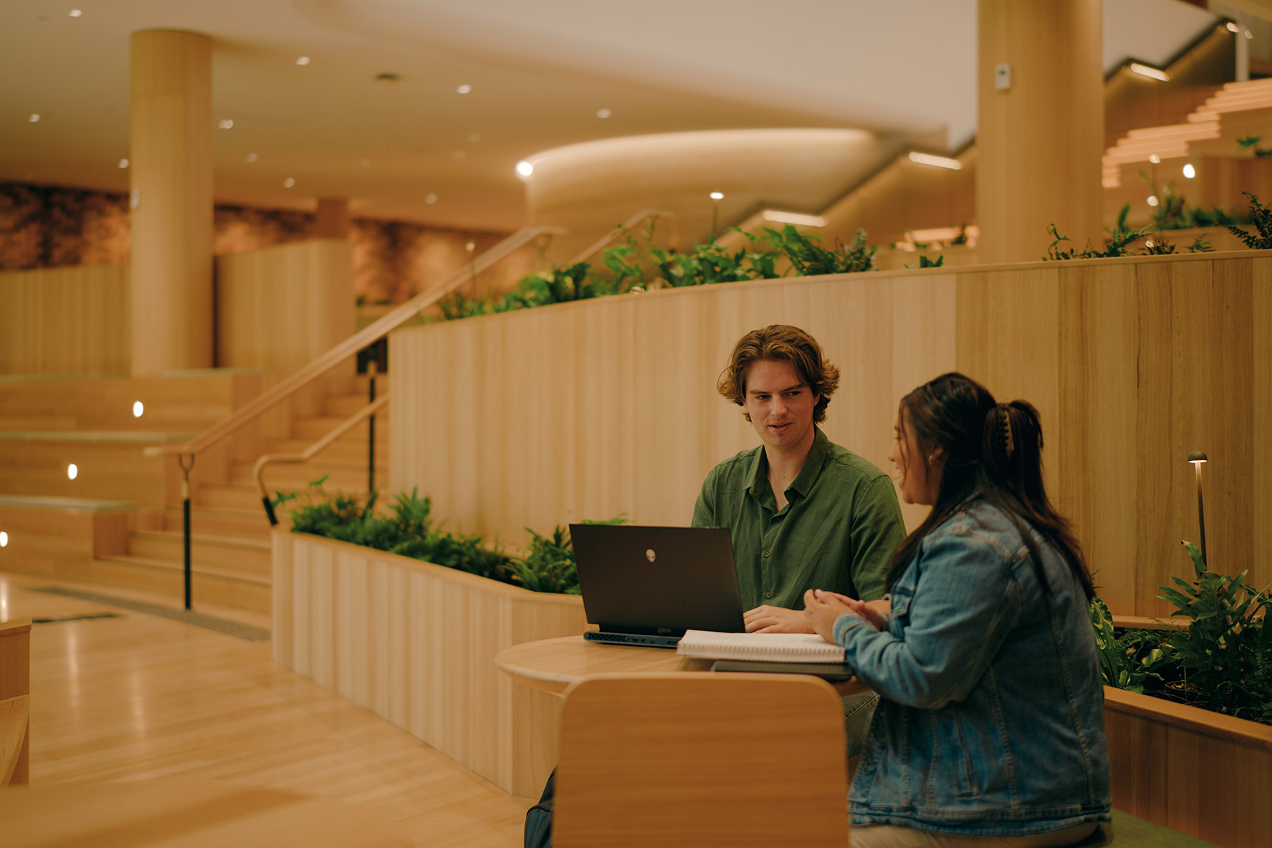 Students studying together in the new Forestry building's learning space, featuring timber finishes, indoor greenery and warm ambient lighting.