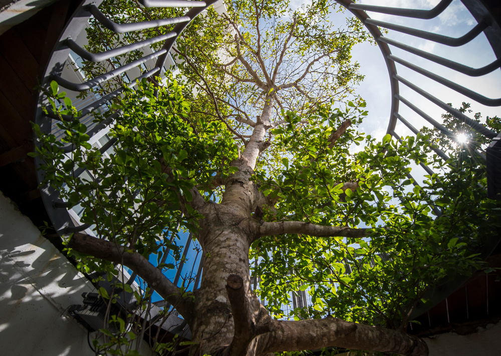Example of green building design by Alan Teh. Photo: Atelier Alan Teh Architect