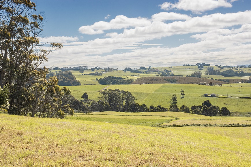Landscape at Elliot Dairy Landscape at Elliot Dairy